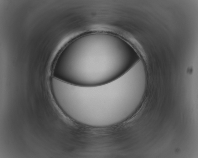X0000096631376200802050923