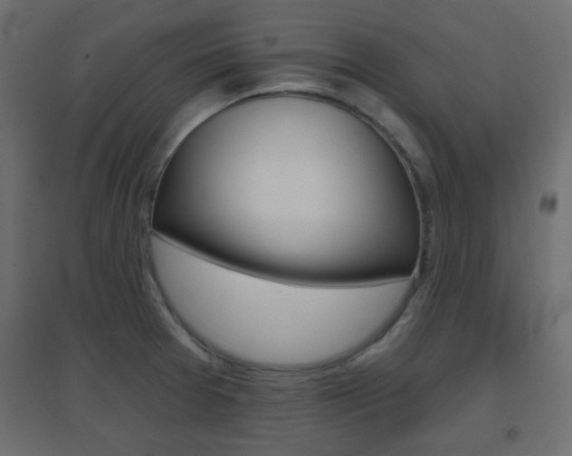X0000096631377200802050923