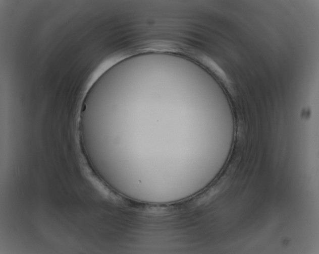 X0000096631378200802050923
