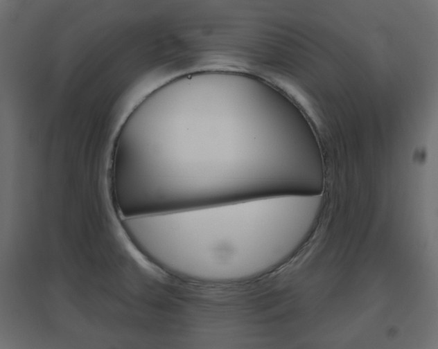 X0000096631379200802050923