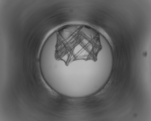 X0000096631380200802050923
