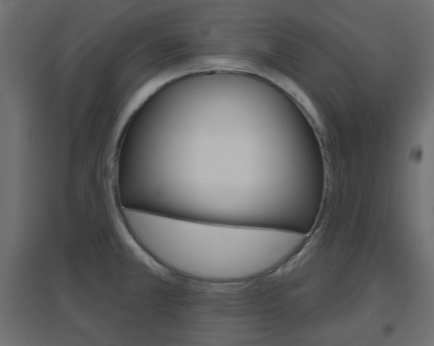 X0000096631381200802050923