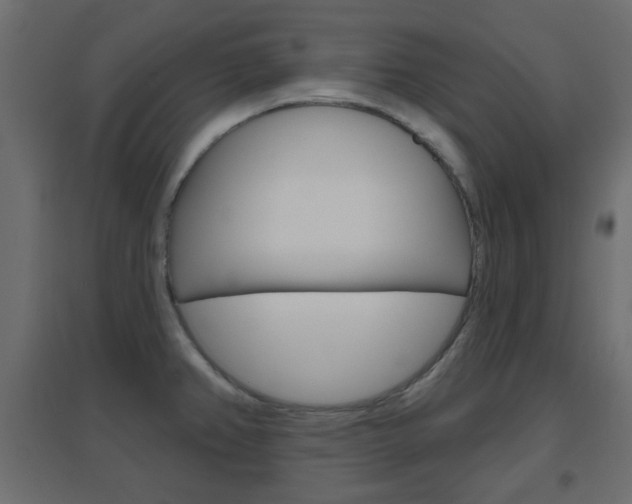 X0000096631382200802050923