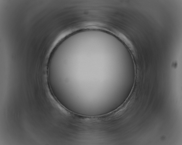 X0000096631384200802050923