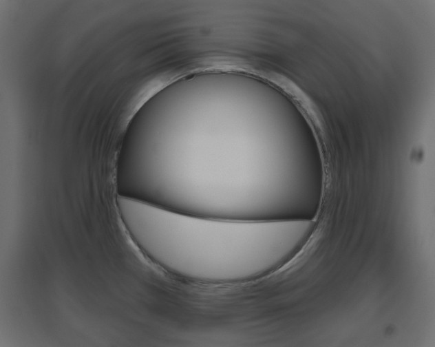 X0000096631385200802050923