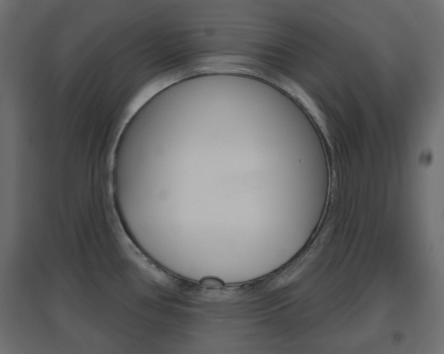 X0000096631386200802050923