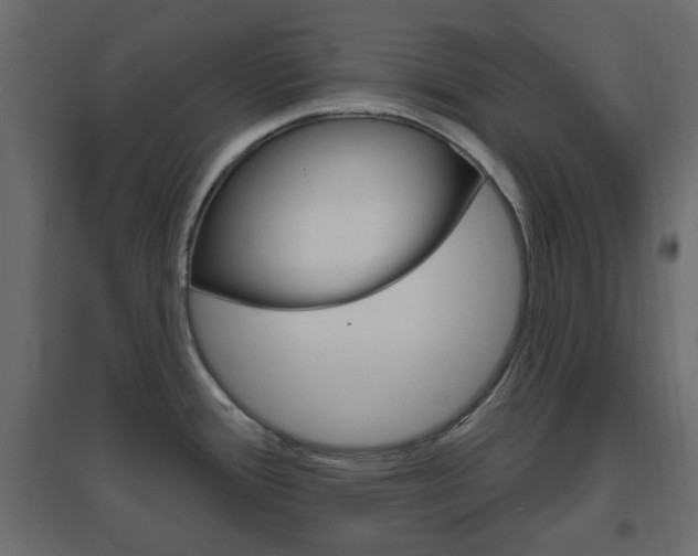 X0000096631388200802050923