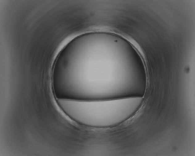 X0000096631389200802050923