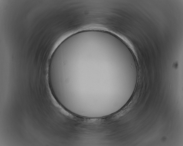 X0000096631390200802050923