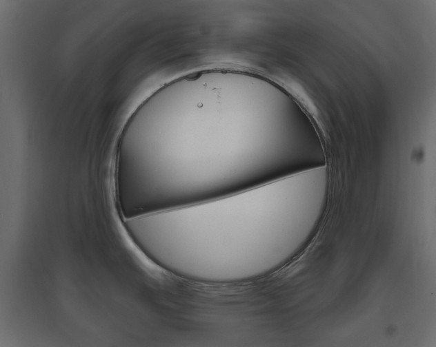 X0000096631391200802050923