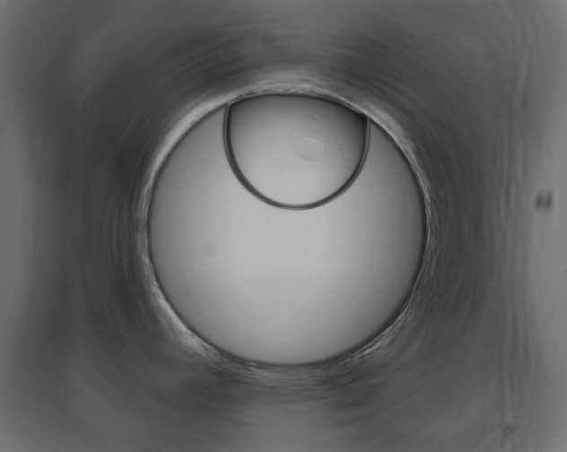 X0000096631392200802050923