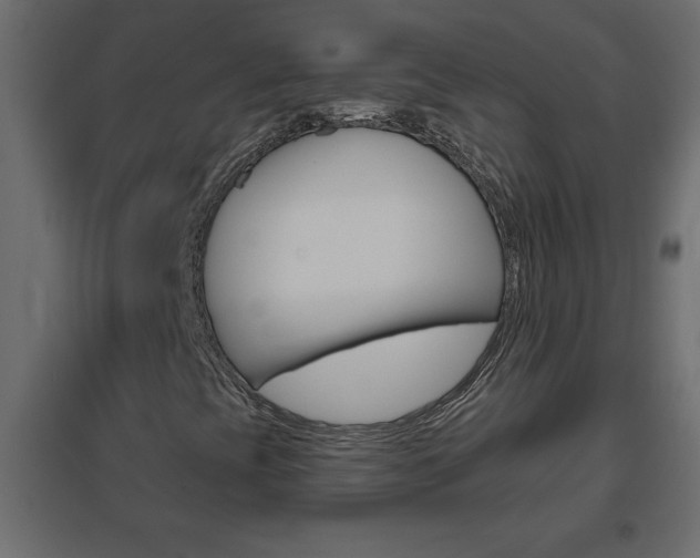 X0000096631393200802050922