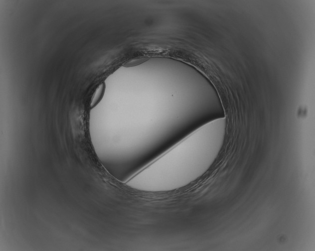 X0000096631394200802050922