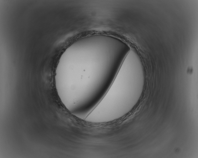 X0000096631398200802050922