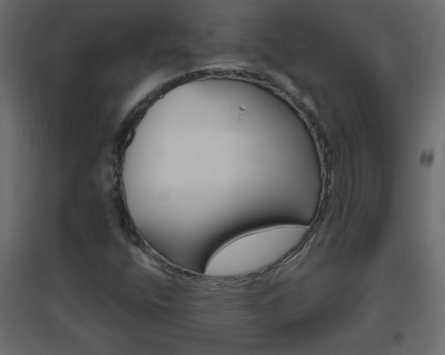 X0000096631400200802050922