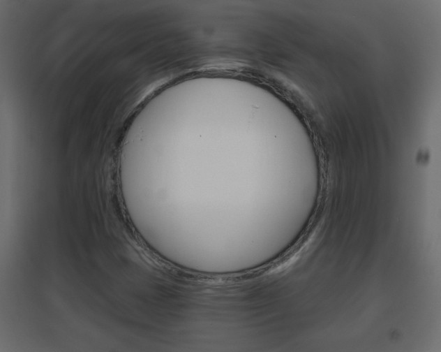 X0000096631401200802050922