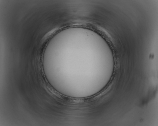 X0000096631403200802050922