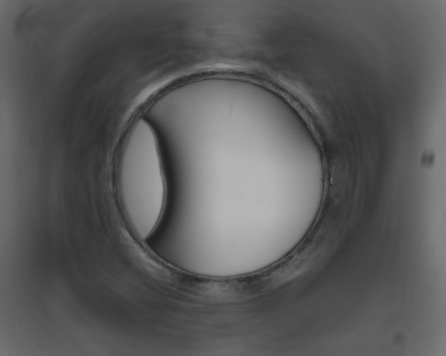 X0000096631404200802050922