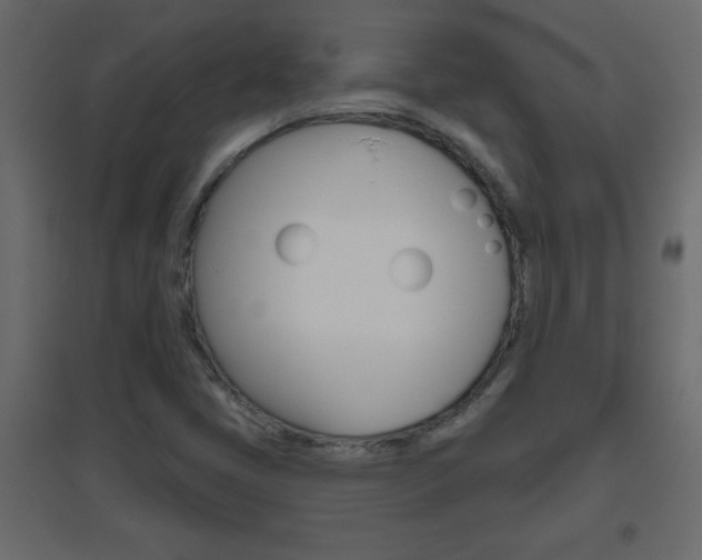 X0000096631405200802050922