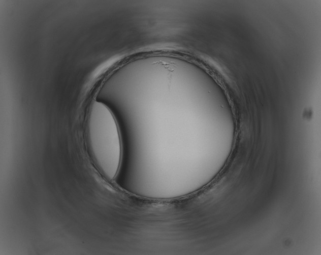 X0000096631406200802050922