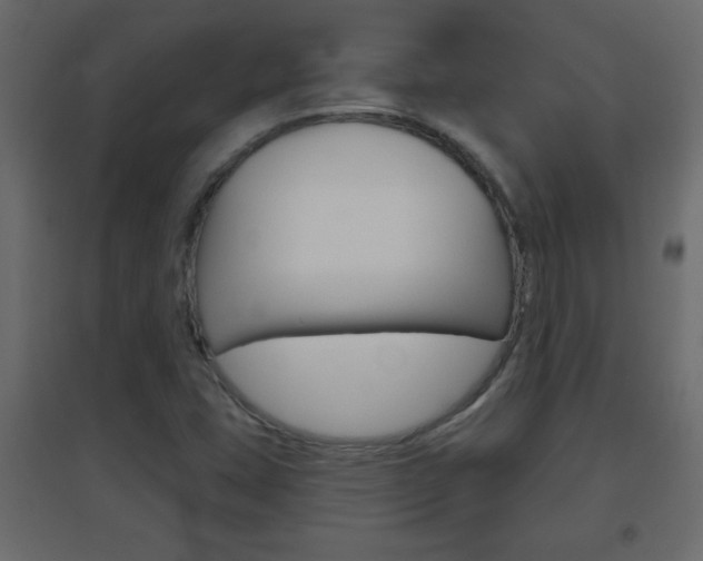 X0000096631407200802050922
