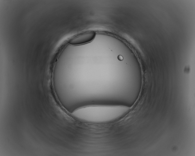 X0000096631408200802050922