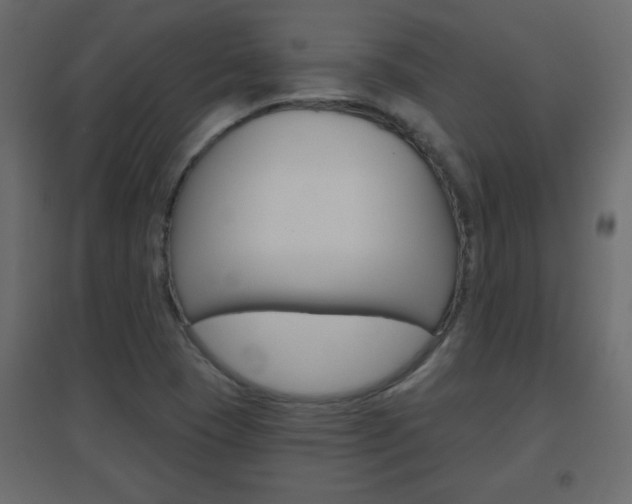 X0000096631409200802050922
