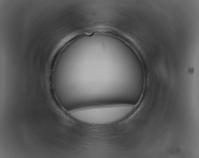 X0000096631410200802050922