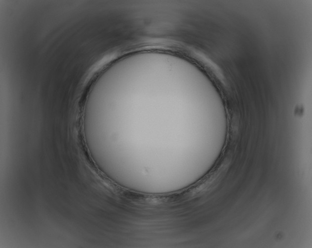 X0000096631411200802050922