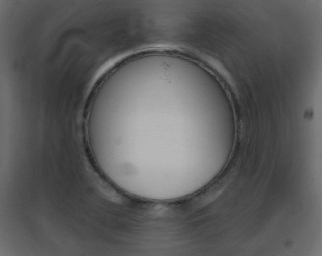X0000096631412200802050922