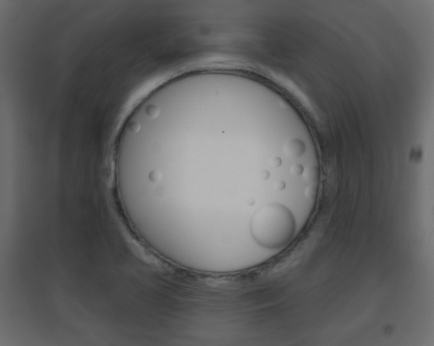 X0000096631413200802050922