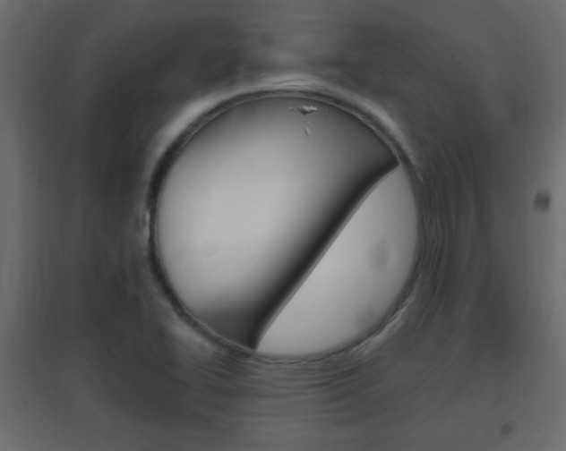 X0000096631414200802050922