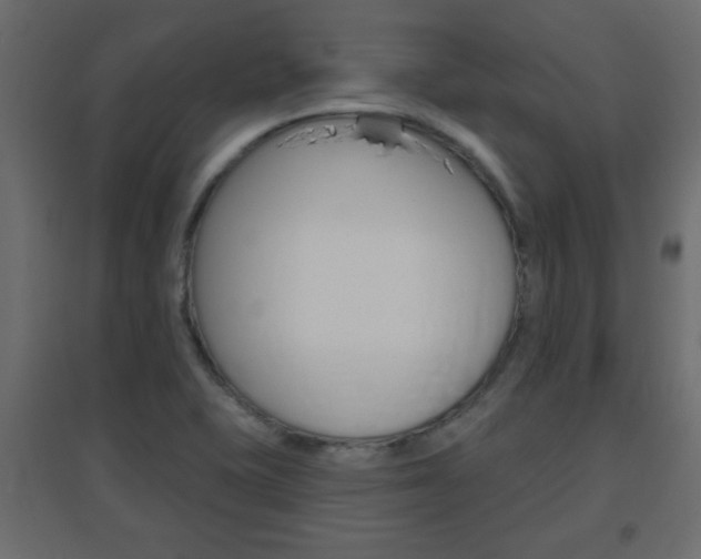 X0000096631415200802050922
