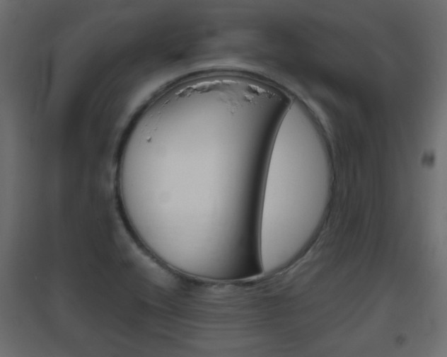 X0000096631416200802050922