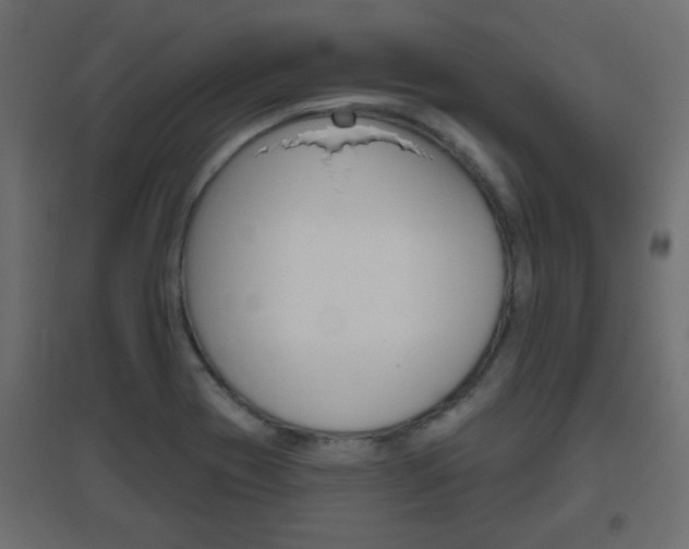 X0000096631417200802050922