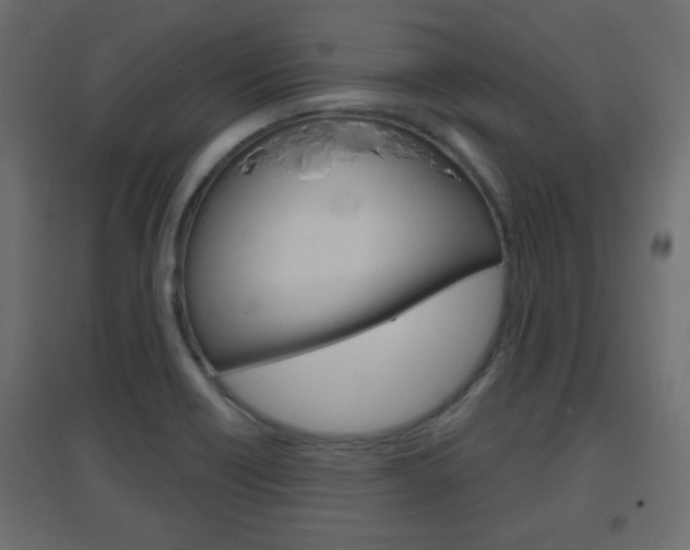 X0000096631418200802050922