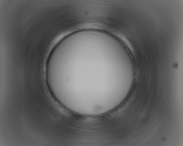 X0000096631419200802050923