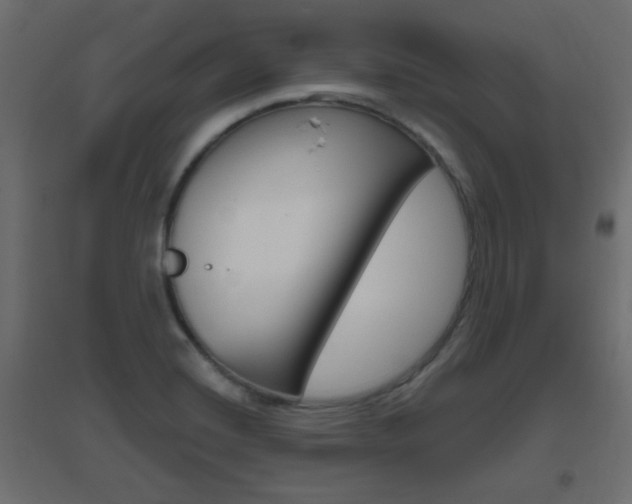 X0000096631420200802050923