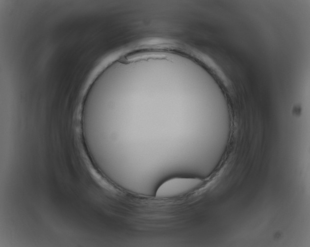 X0000096631421200802050923