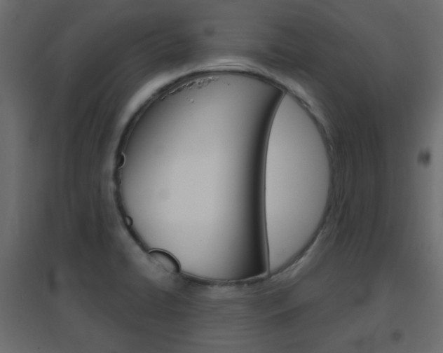 X0000096631422200802050923