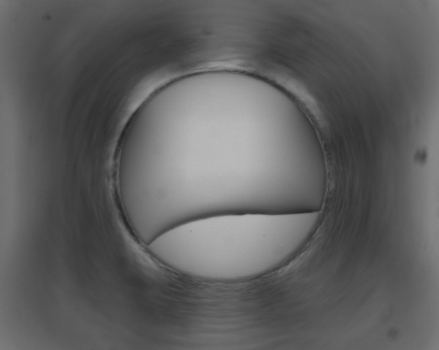 X0000096631423200802050923