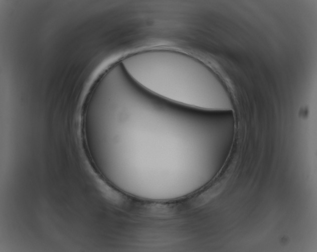 X0000096631424200802050923