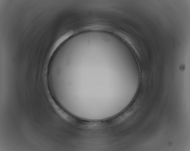 X0000096631426200802050923