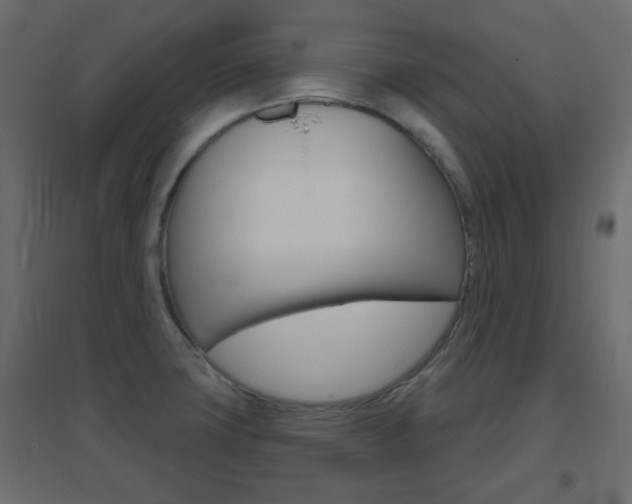 X0000096631427200802050923