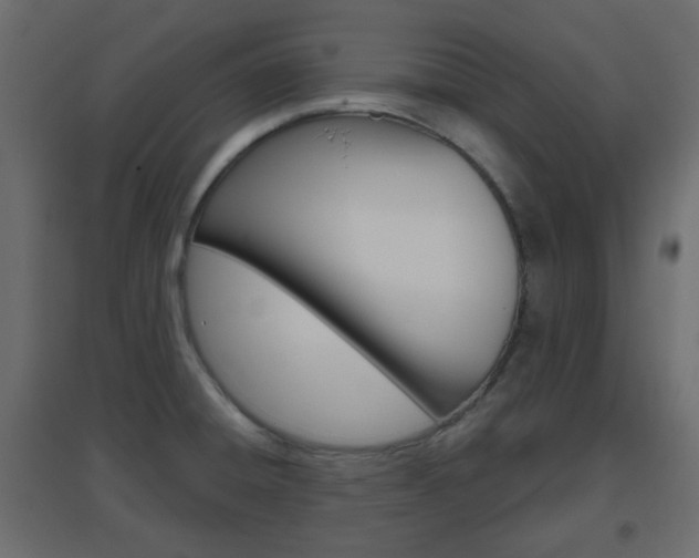 X0000096631428200802050923