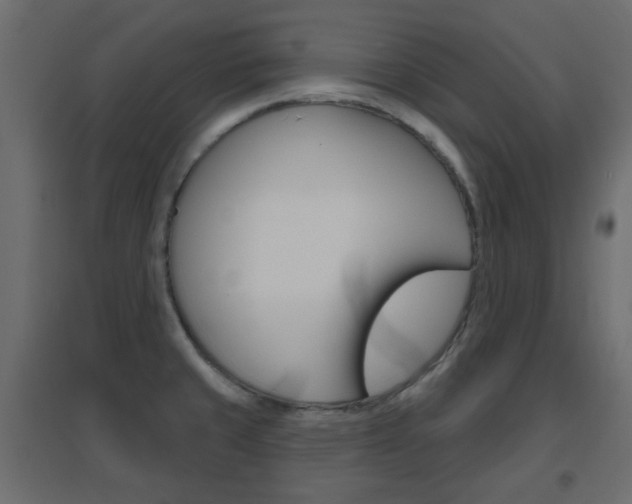 X0000096631429200802050923