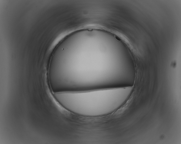 X0000096631430200802050923