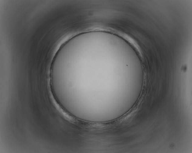 X0000096631431200802050923