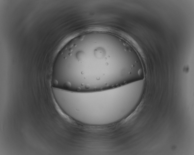 X0000096631433200802050923