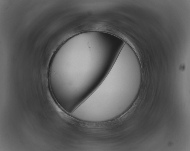 X0000096631434200802050923